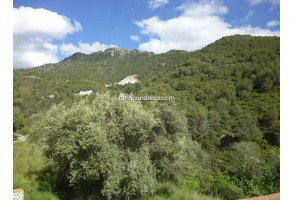 Country House in Cómpeta, Acebuchal, holiday rentals