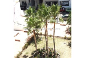 Apartment for sale Nueva Andalucia