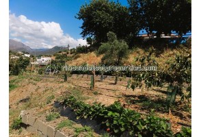 Casa de Campo con mucho terreno