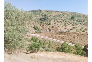 country house with stable in Canillas de Albaida