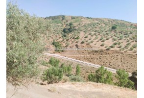 country house with stable in Canillas de Albaida