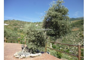 Country House in Canillas de Albaida, Loma de Los Reyes, for rent