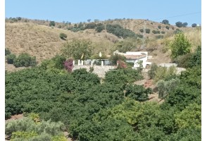 Finca rustica Canilla de Albaida/barranco Tesones