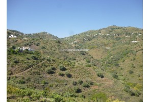 Country House in Sayalonga, for rent