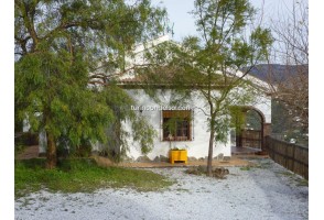 Country House in Cómpeta, La Platera, for rent